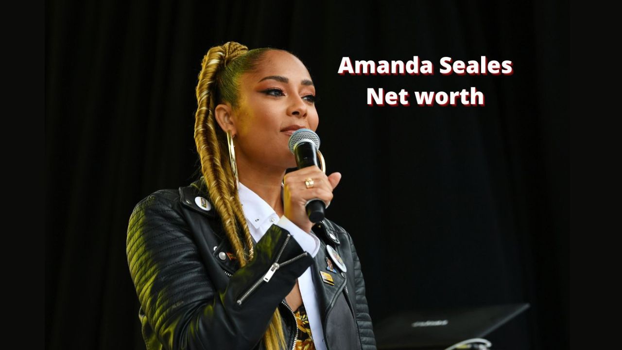 Amanda Seales Net Worth 2025: Career Earnings and Salary