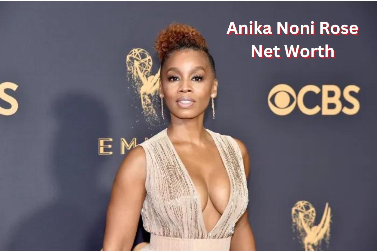 Anika Noni Rose Net Worth