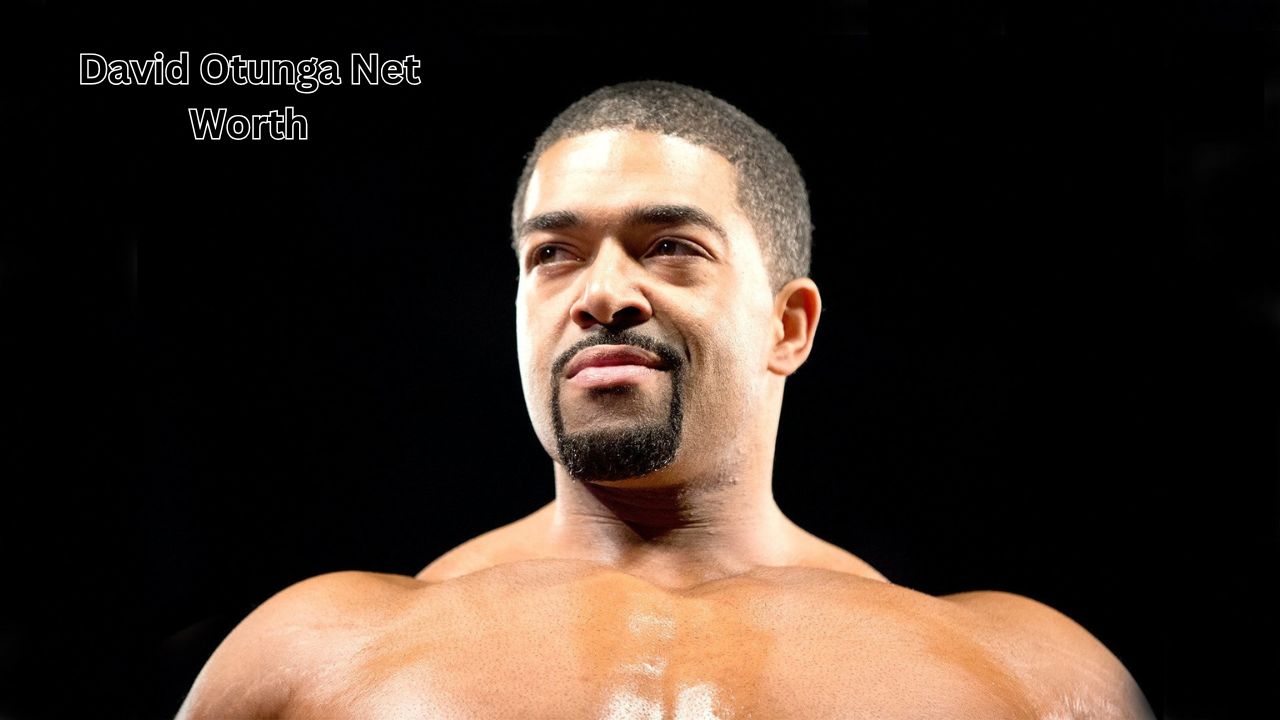 David Otunga net worth