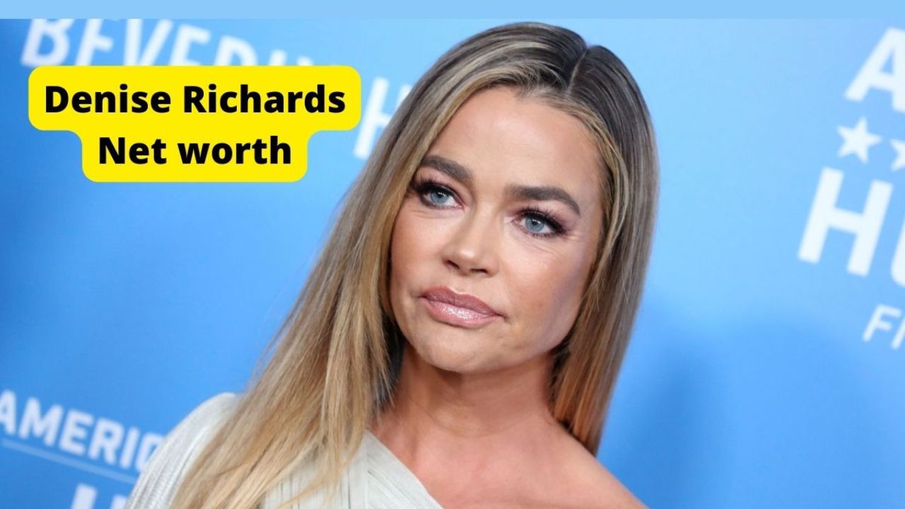 Denise Richards Net Worth