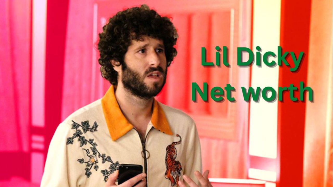 Lil Dicky net worth