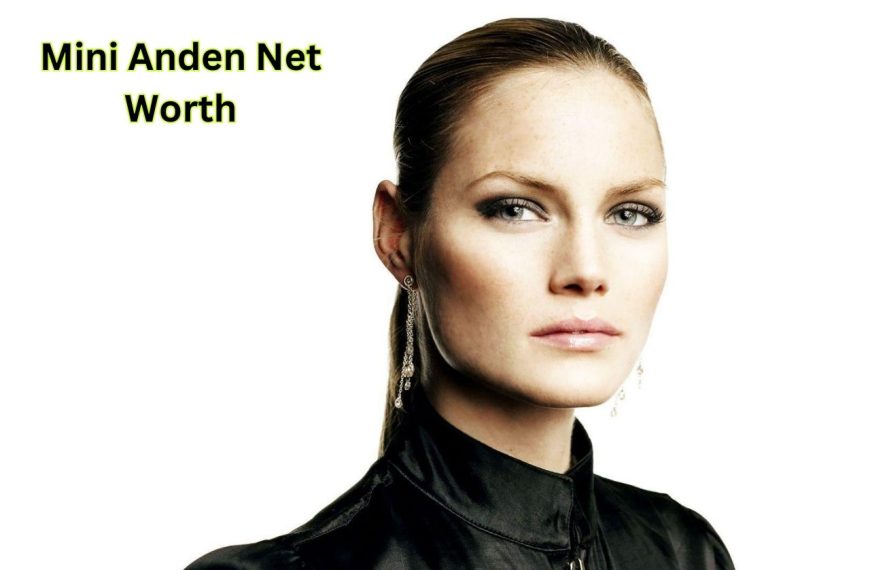 Mini-Anden-Net-Worth