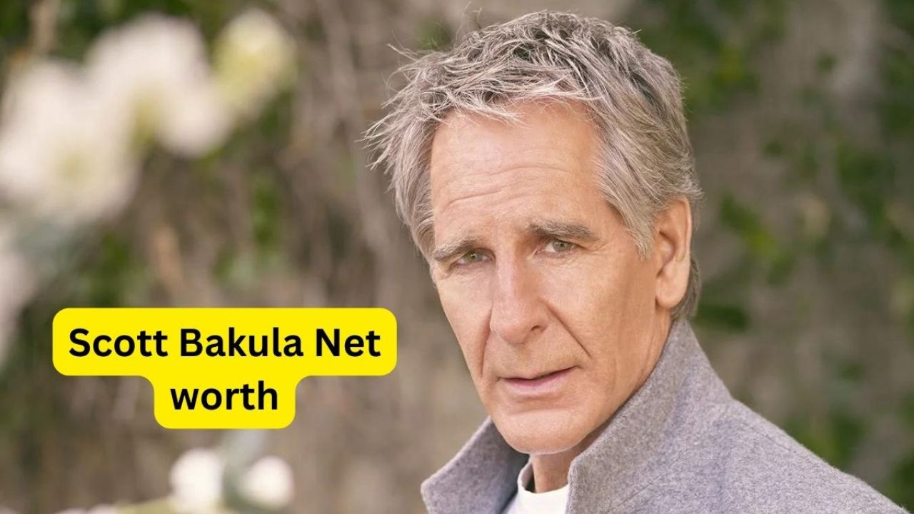 Scott Bakula net worth