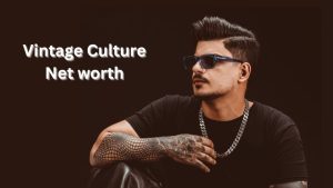 Vintage Culture net worth