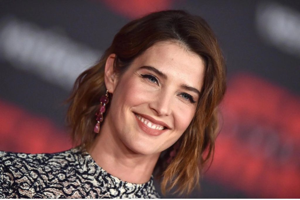 cobie-smulders-Income