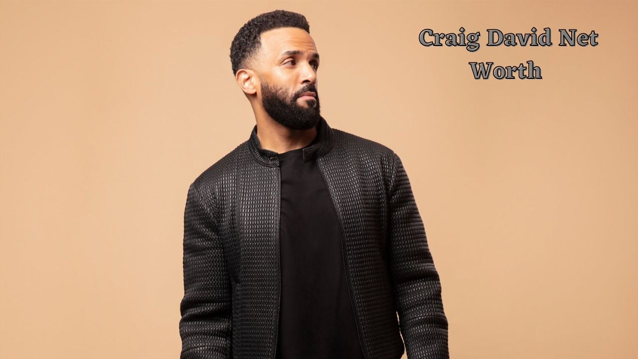 Craig David Net Worth