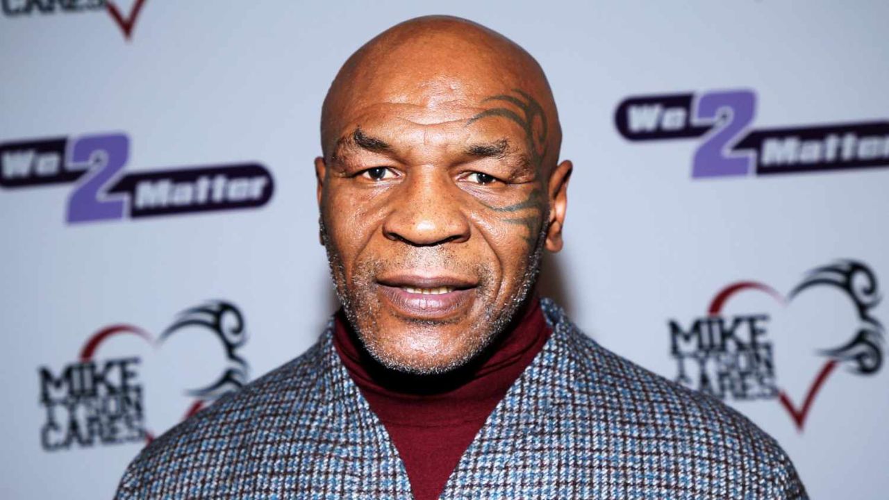 Mike Tyson Income