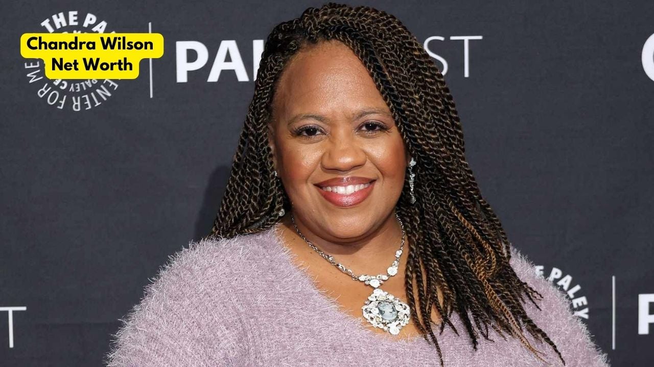 Chandra Wilson Net Worth