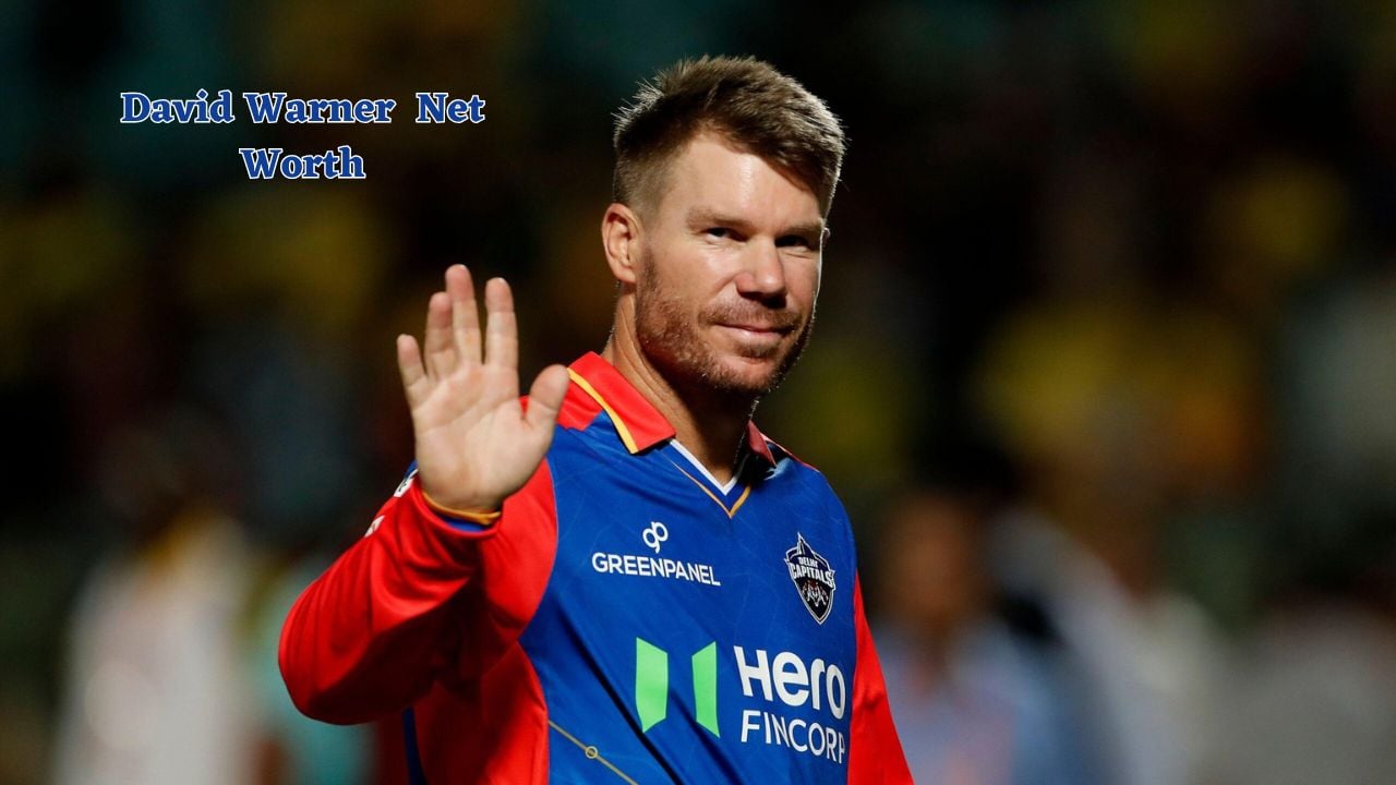 David Warner net worth