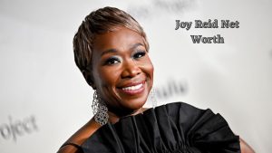 Joy Reid net worth