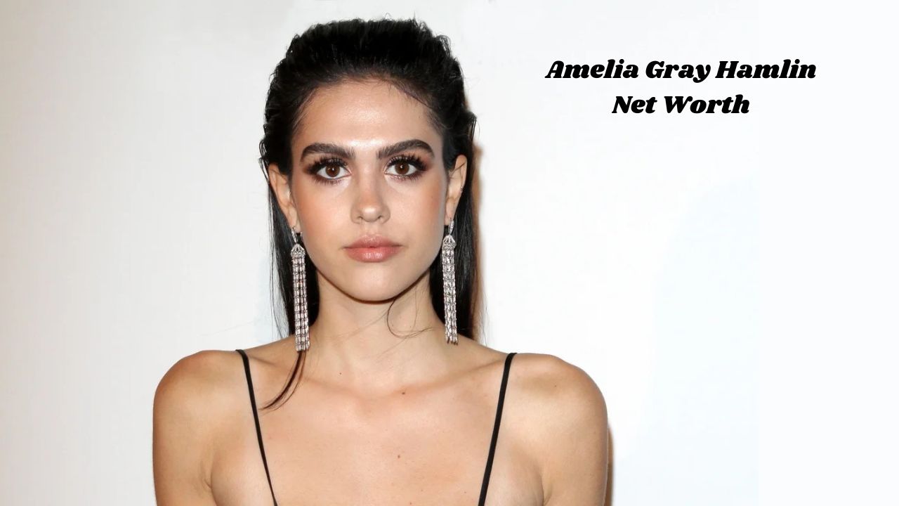 Amelia Gray Hamlin net worth