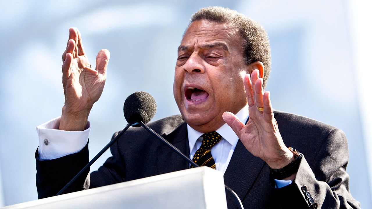 Andrew Young Income