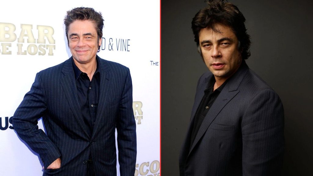 Benicio del Toro Income