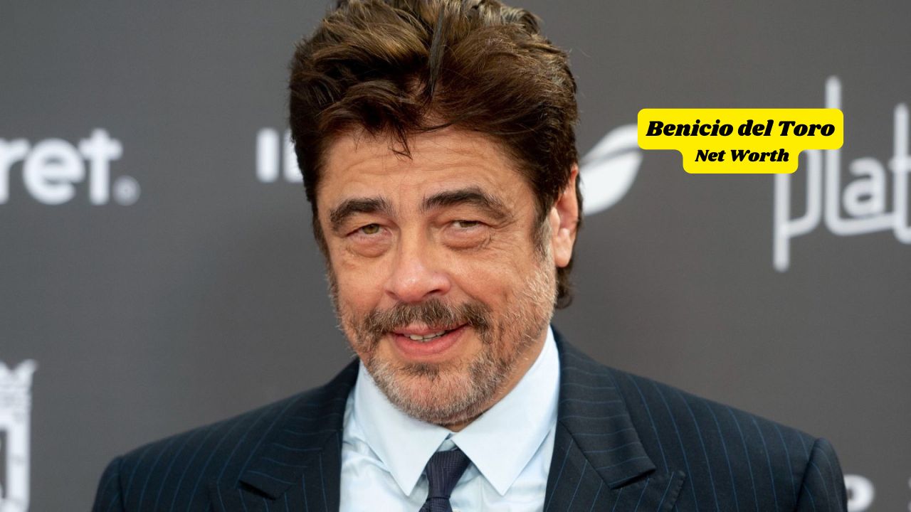 Benicio del Toro Net Worth